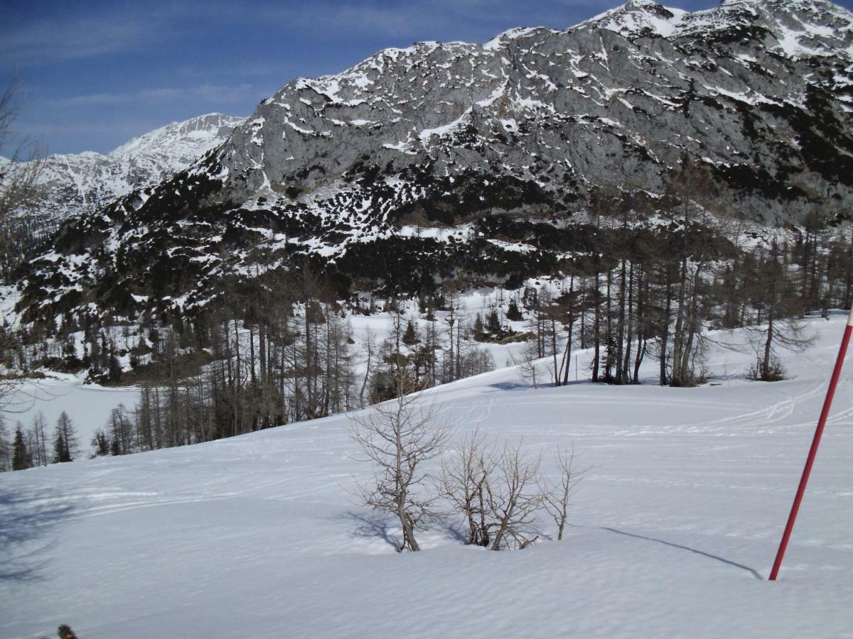 Appartement Weideblick à Tauplitz Extérieur photo